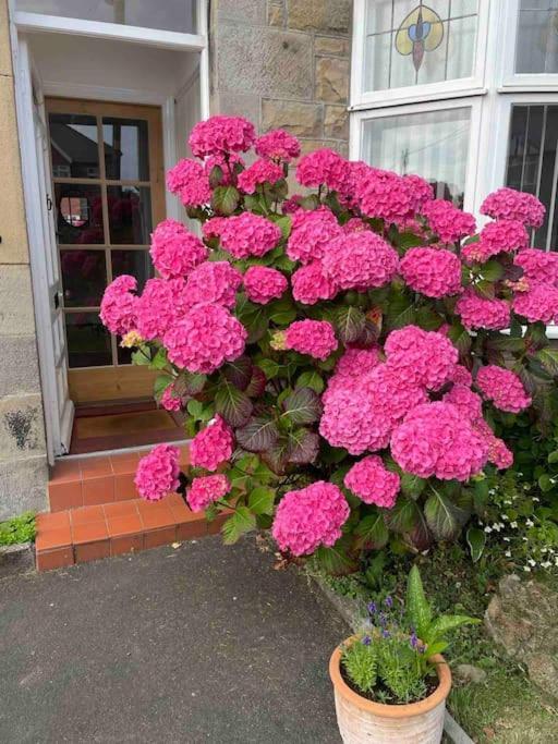 Kelvinside, Seahouses, 2 Minute Walk Into Village المظهر الخارجي الصورة