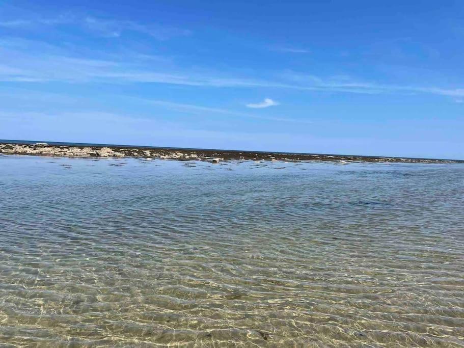 Kelvinside, Seahouses, 2 Minute Walk Into Village المظهر الخارجي الصورة